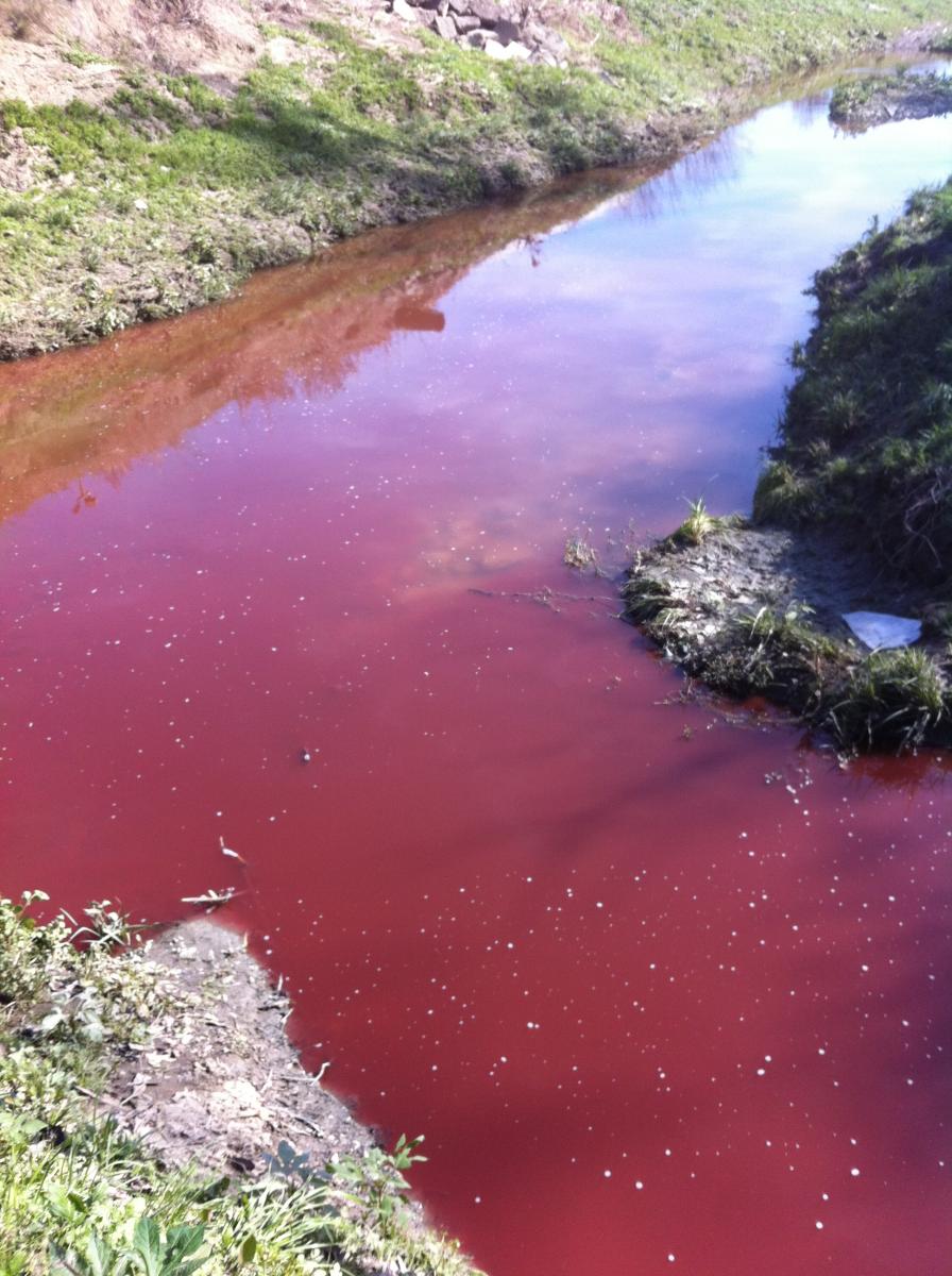 benny's car wash baton rouge