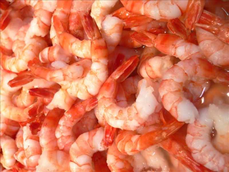 2016 spring inshore shrimp season closes Monday