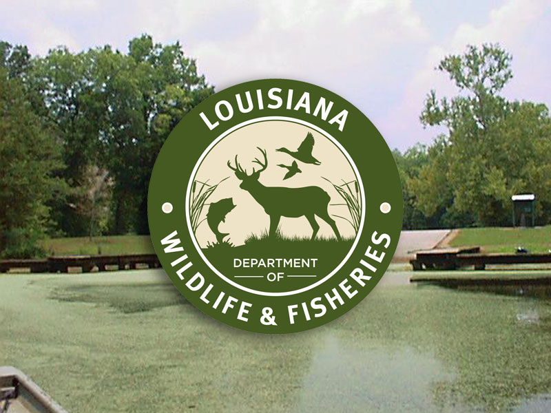 Sunset man accused of killing alligator out of season