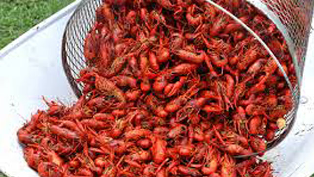 Free crawfish boil for flood responders