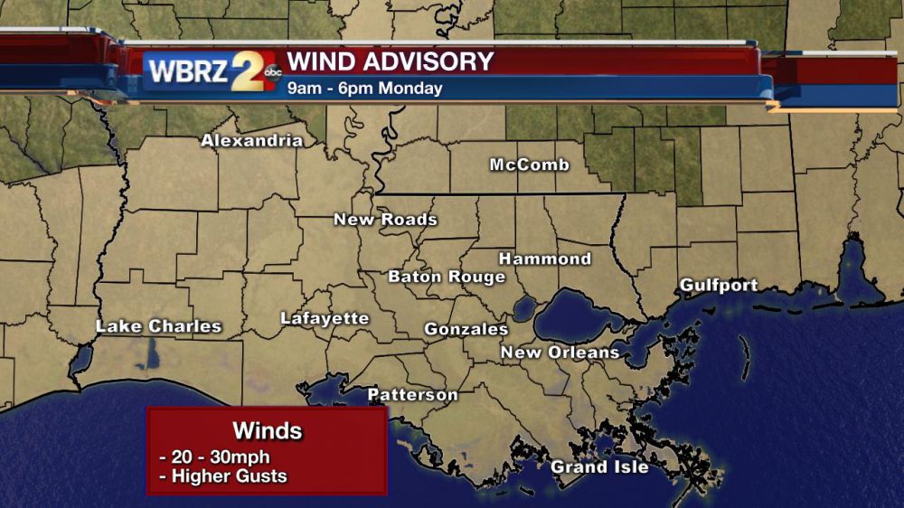Gusting winds knock out power to thousands across the area