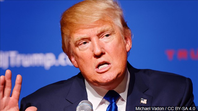 Donald Trump wins South Carolina Republican primary