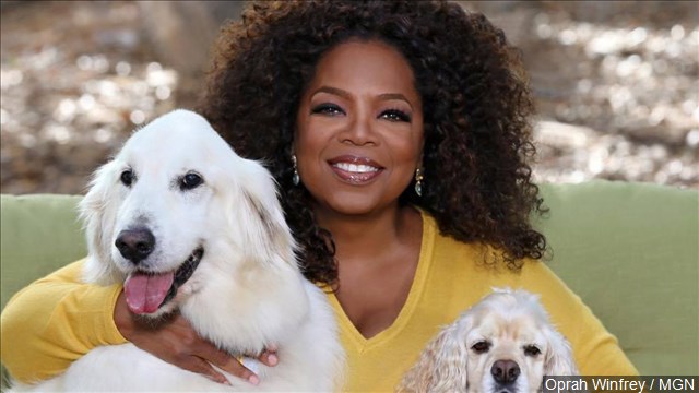Oprah hiring extras for New Orleans TV project