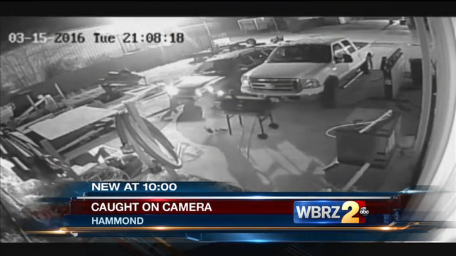 Police: Suspect stole hundreds of dollars worth of tools