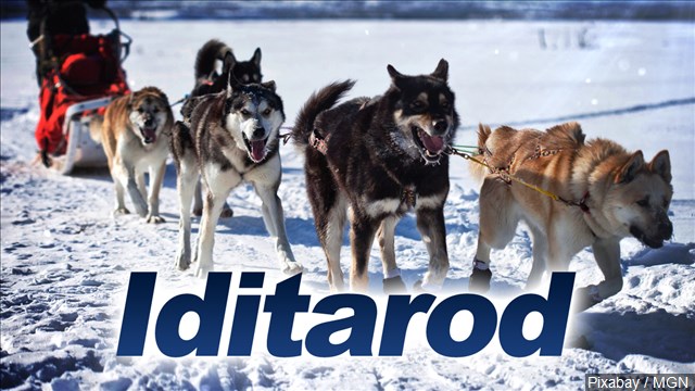Alaska's Iditarod could end with a 'family photo finish'