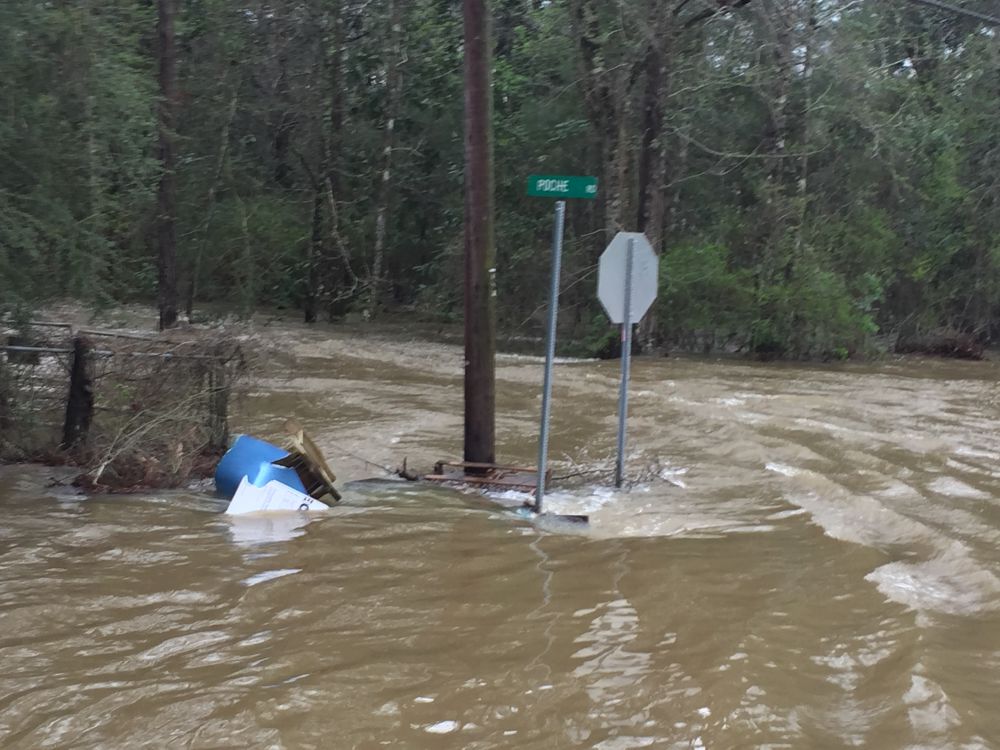 FEMA Dos and Donts for Louisiana Flood Survivors
