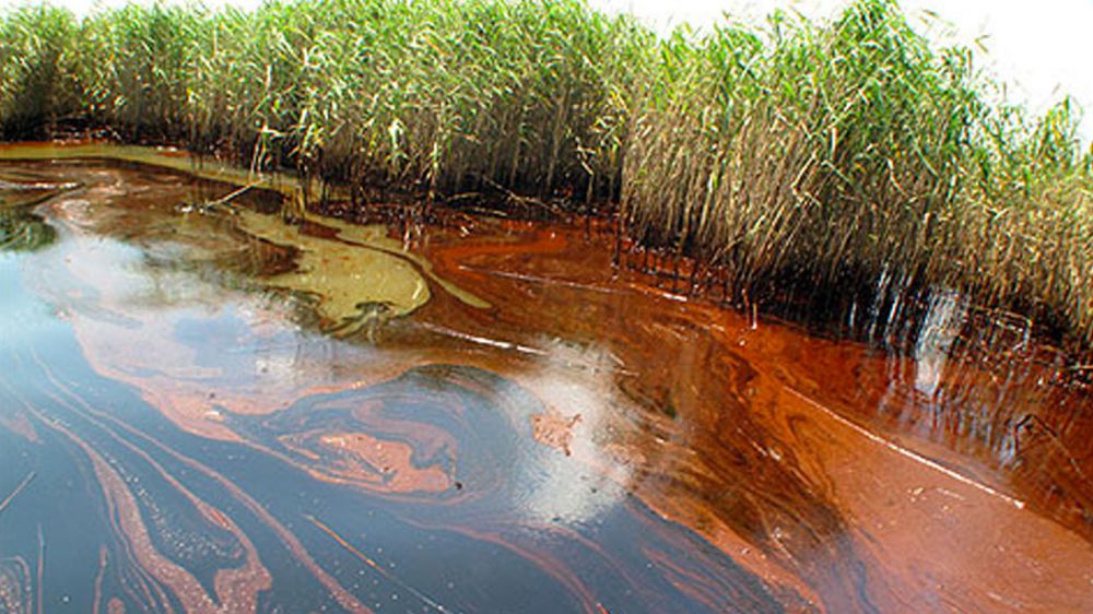 Six years on: What's ahead for restoring Gulf after oil spill