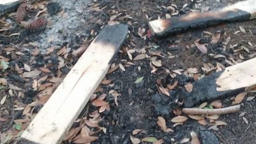 Dog carcass found in fire pit in New Orleans City Park