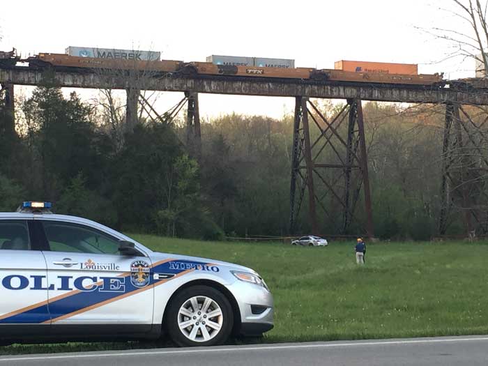 Ohio woman dies after hit by train while seeking 'goatman' creature