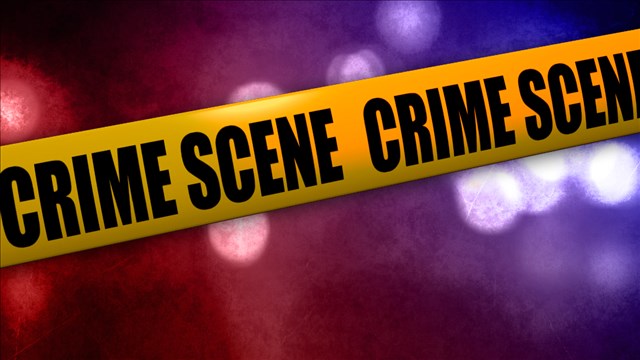 Bones found near Iberville grocery store