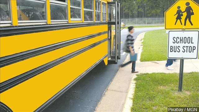 Career education making a comeback in US high schools