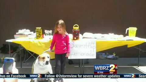 Lemonade stand protection bill headed to the governor's desk