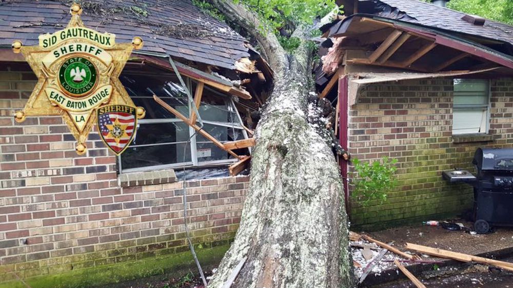EBRSO: Tree cuts through home after Sunday storms