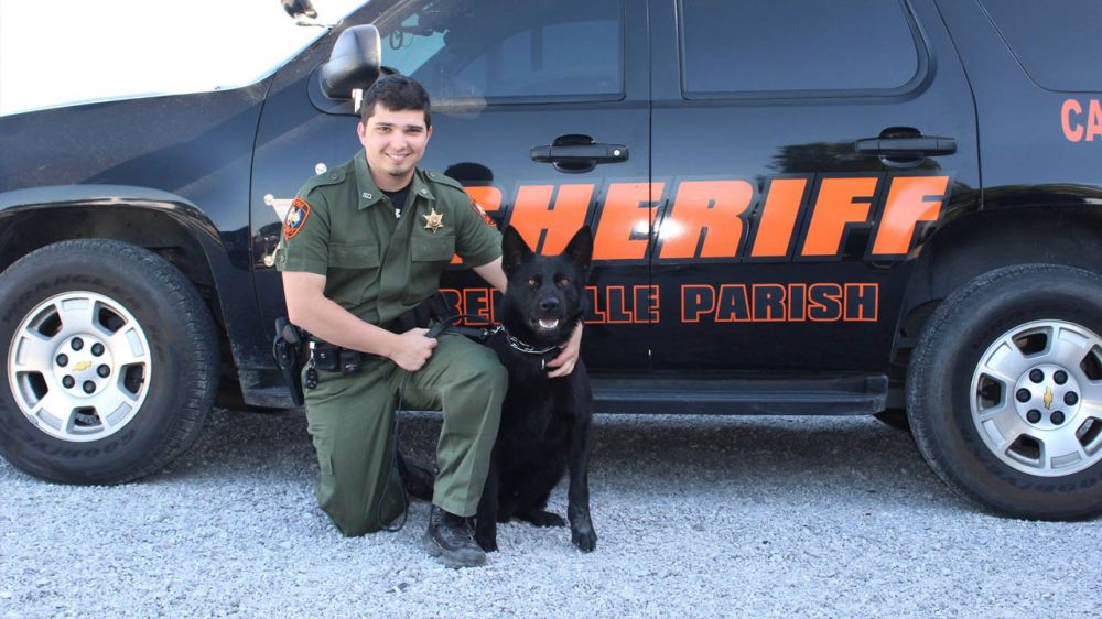 Iberville K9 to get protective vest