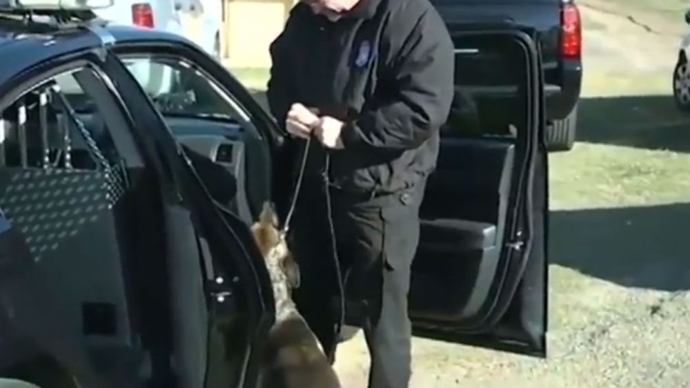 Child hospitalized after police drug dog bite