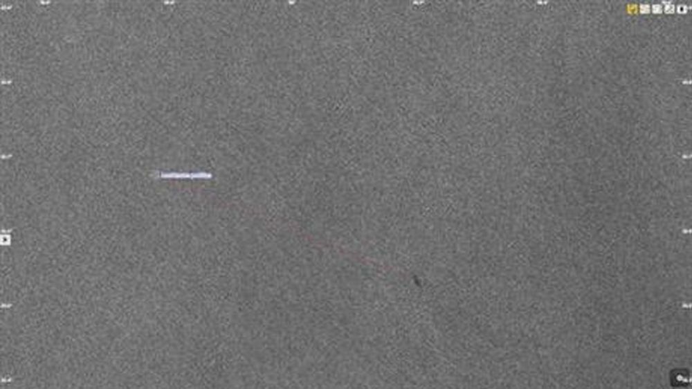 Expert: No credible claims for downing EgyptAir