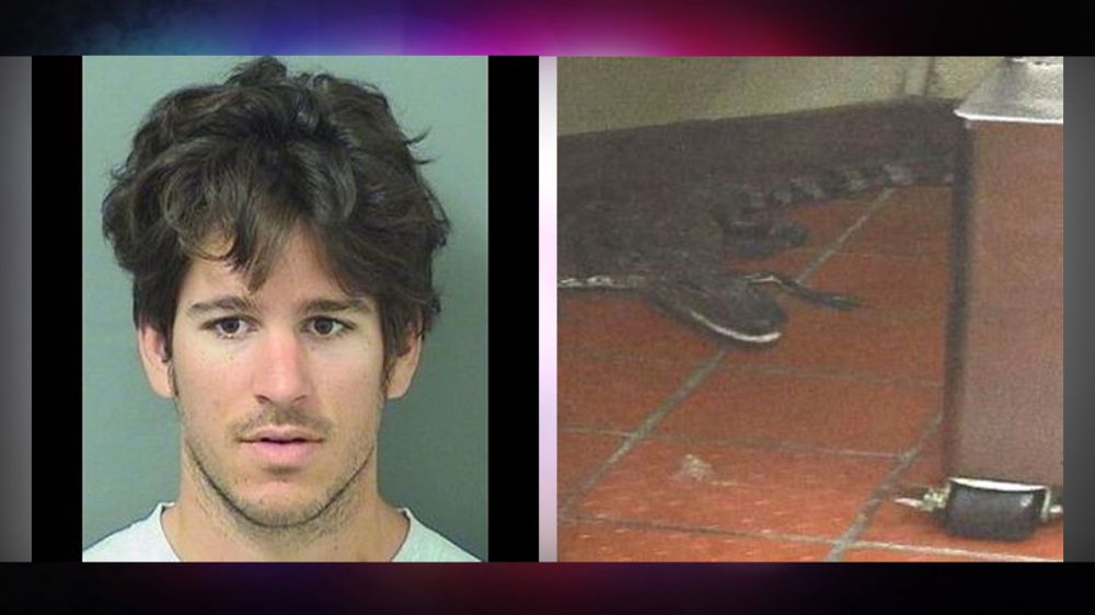 1-year probation for man who threw alligator into restaurant