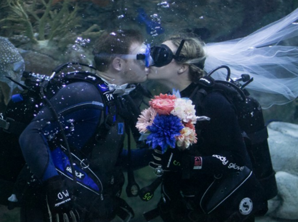 Couple gets married underwater at N.O. aquarium