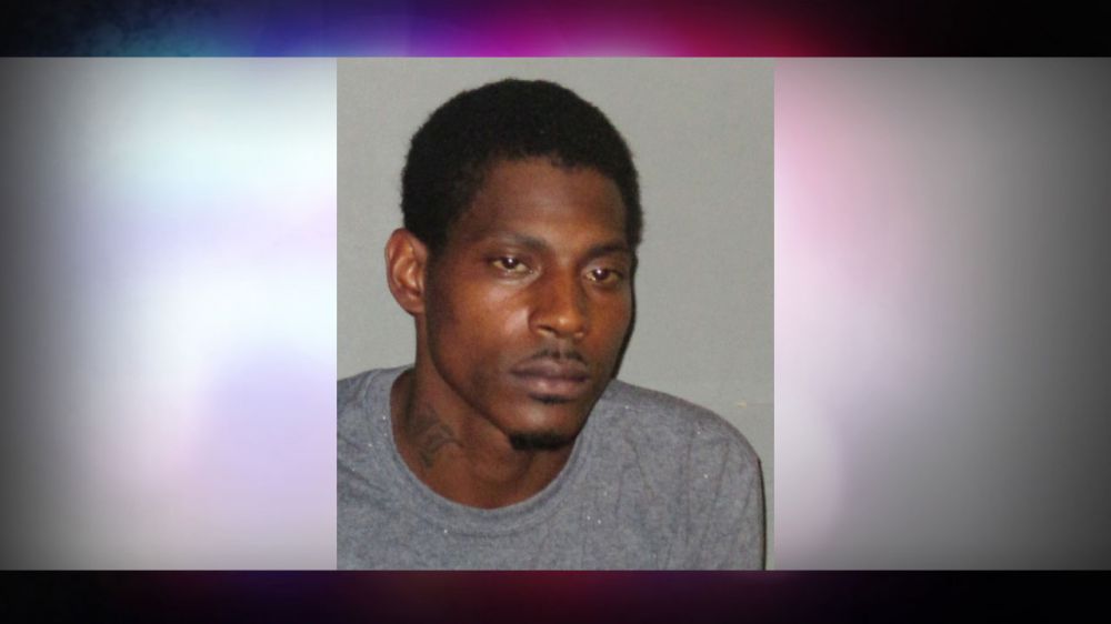 Man arrested after four malnourished pit bulls found in yard