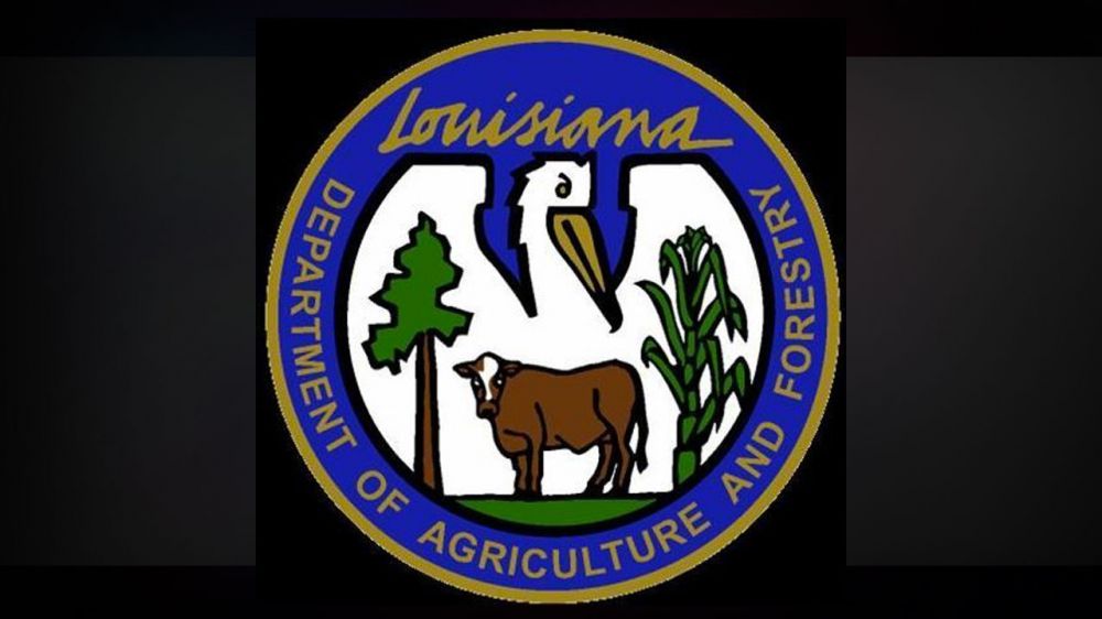 18 head of cattle found in abandoned trailer near Hammond