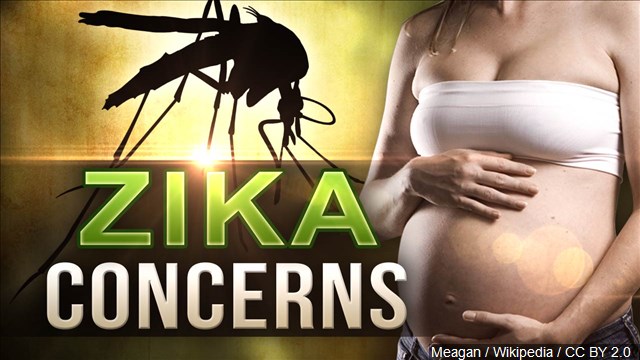 CDC: Puerto Rico may see hundreds of Zika birth defects