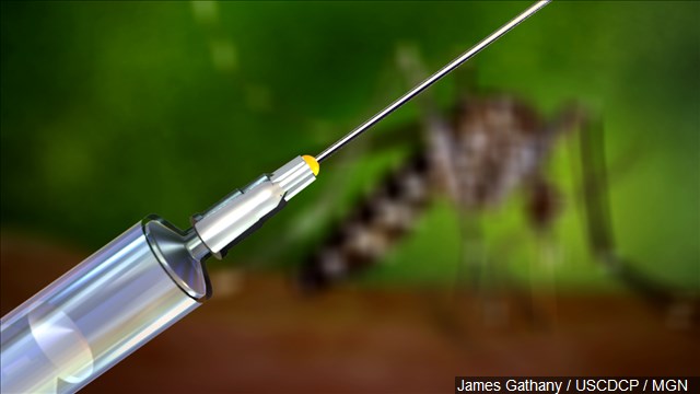 Health officials preparing for any locally transmitted Zika