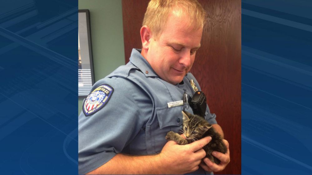Police rescue kitten from the Lake Pontchartrain Causeway
