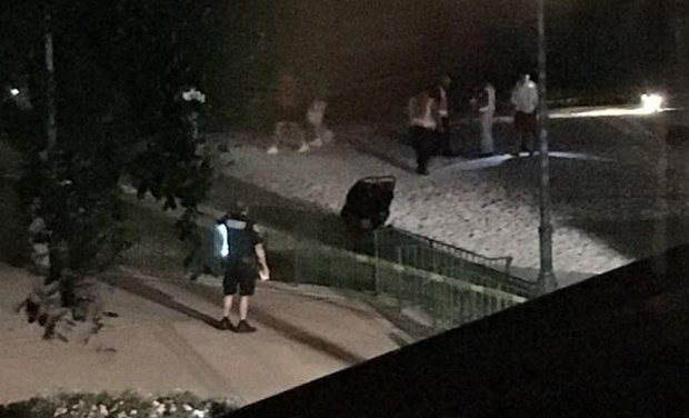 Reports: Gator drags child into the water at Disney World resort