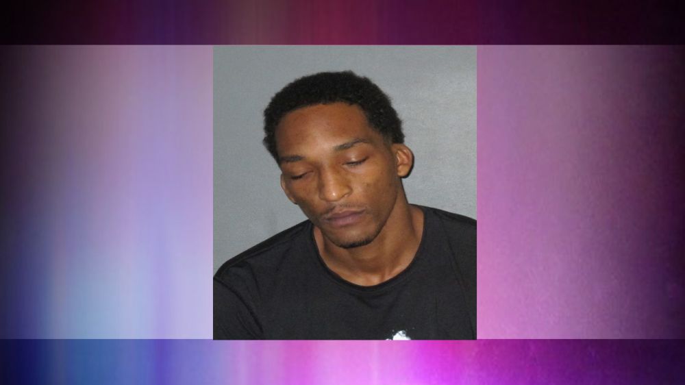 Man arrested after River Road chase ends in flames