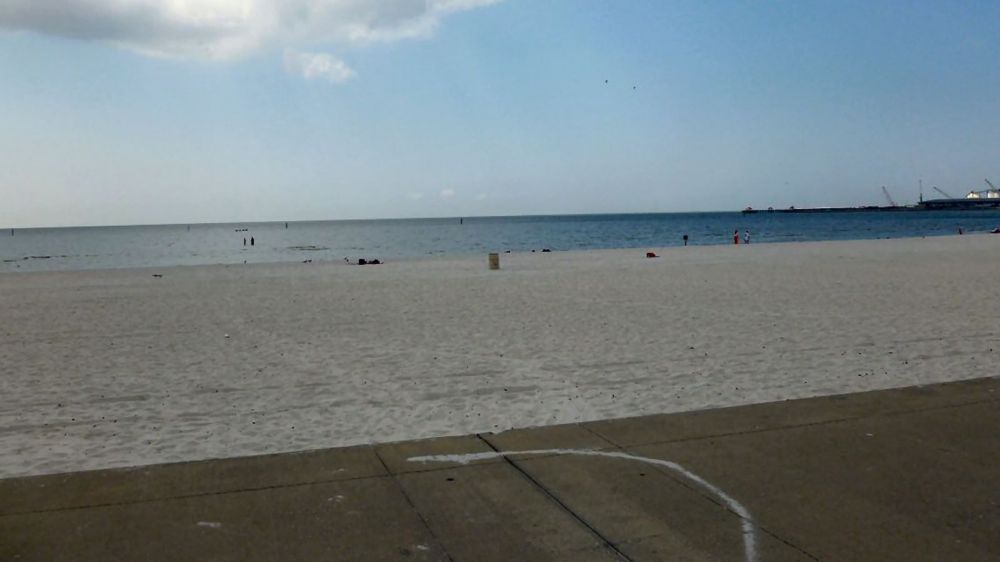 Despite reports of flesh-eating bacteria, only one MS beach flagged with warning