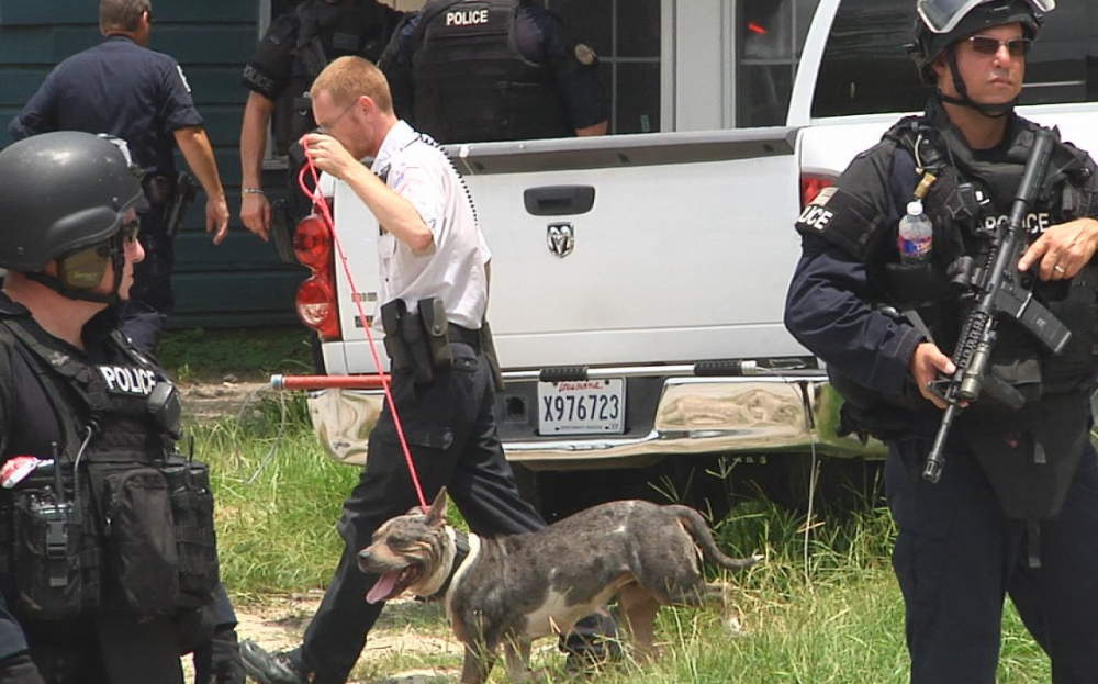 4 unattended dogs seized after BRPD SWAT narcotics raid