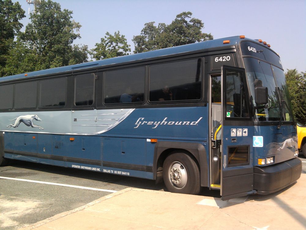 Greyhound expands south Louisiana service