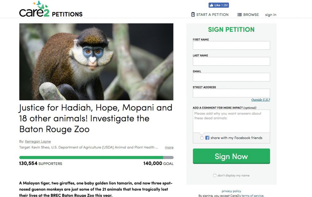 Teenager gathers more than 130,000 petition signatures to investigate BR Zoo