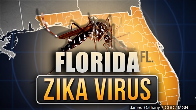 Florida IDs new Miami neighborhood as Zika zone