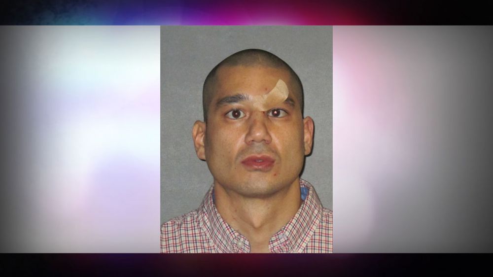 Man charged with animal cruelty after allegedly beating dog with stick