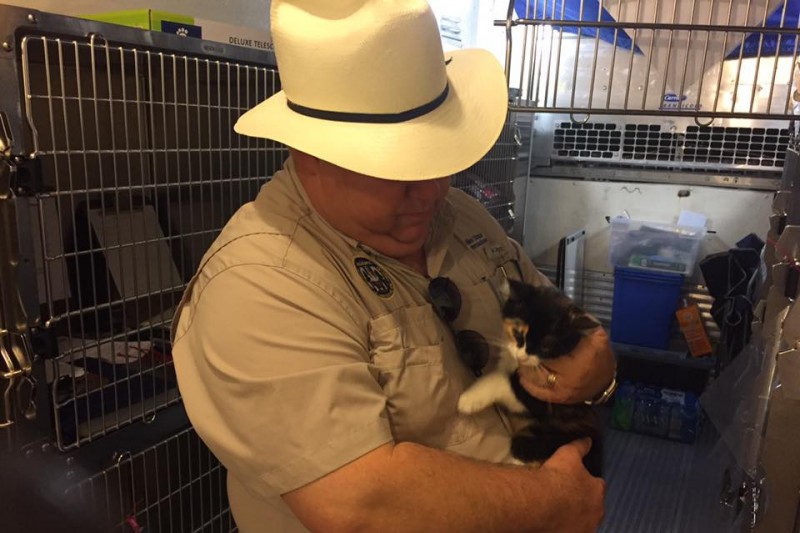 LDAF sets up animal care relief GoFundMe campaign