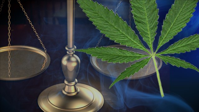 Government won't reclassify marijuana, allows more research