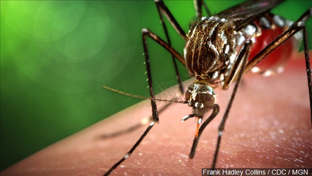 Aerial spraying scheduled for Tuesday in Iberville Parish