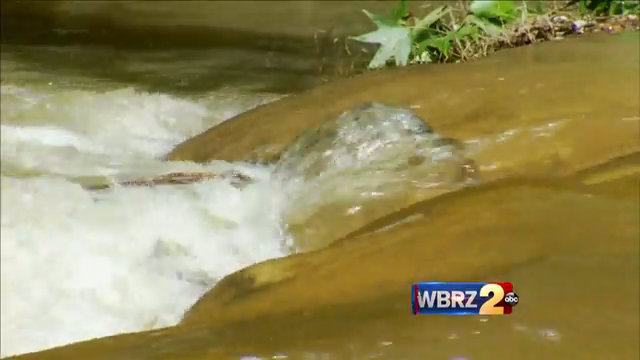 Iberville Parish officials making second cut to drain Spanish Lake basin