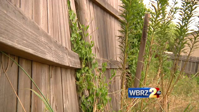 Livingston homeowners look to remove blight from abandoned properties