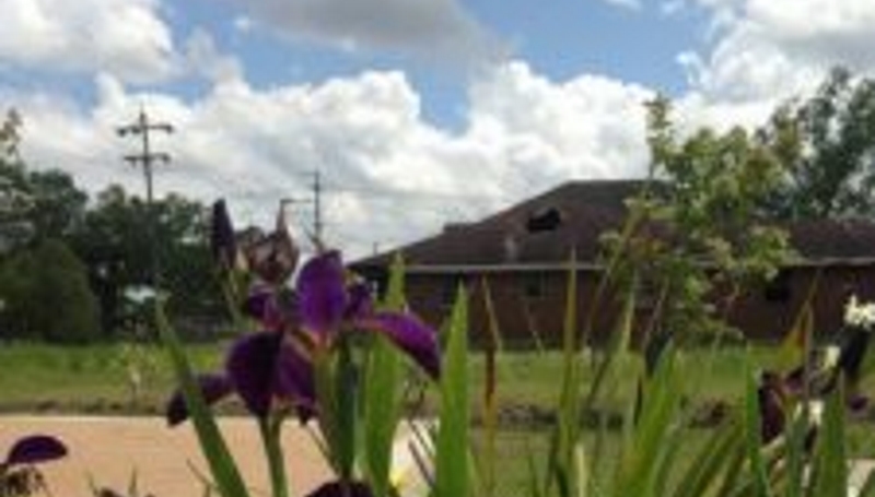 Group plans to make house into Hurricane Katrina memorial