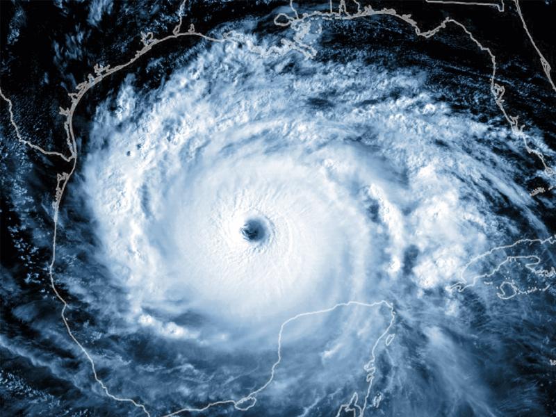 Phone surveys on hurricane preparedness to begin