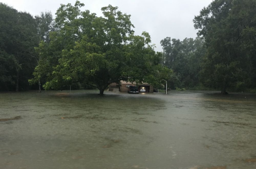 Contact info for replacing lost or damaged documents