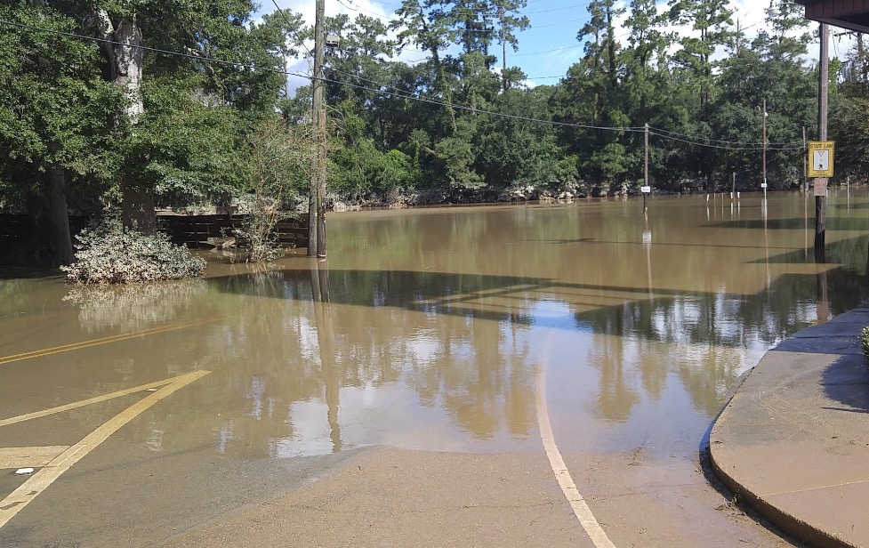 SLIDESHOW: Devastation in Denham Springs