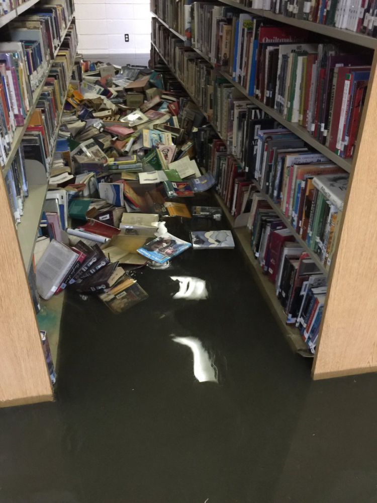 Amid Louisiana flood disaster, youngest bear mental scars