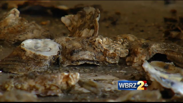 Some parts of Louisiana remain off-limits for oyster harvest