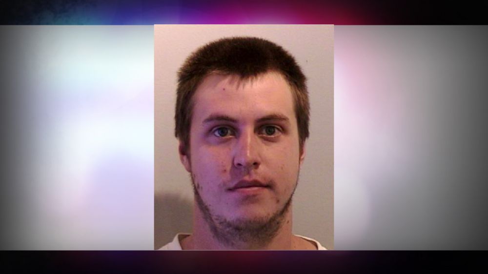 Man accused of breaking into home, painting dog purple