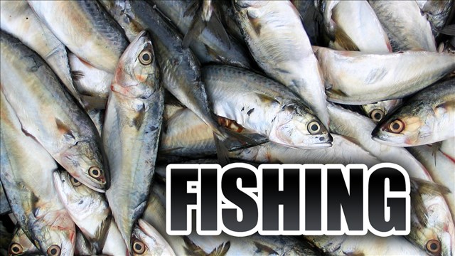 Report: Fishy spending in La. gov't, concerns about safety of eating Gulf fish
