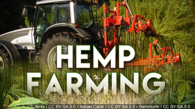 Colorado hits another cannabis 1st with certified hemp seed