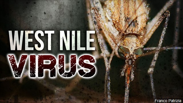 Now 30 West Nile cases in Louisiana